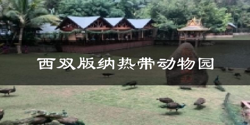 西双版纳热带动物园天气预报十五天