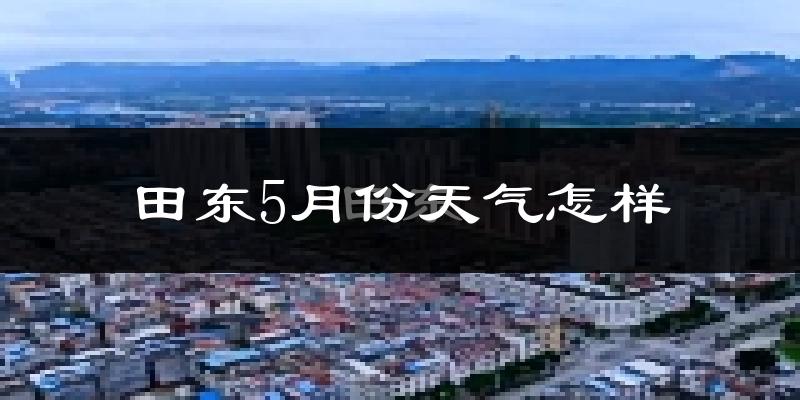 田东县5月份天气如何?很热吗?